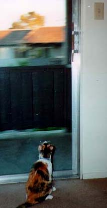 (Photo)